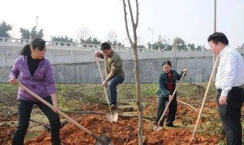 春季种树，暖洋洋的