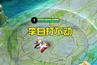 阿维甲腈：新宠的诞生