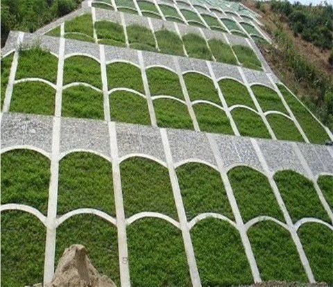 种植方法，省钱又省心