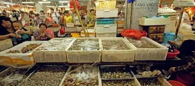 浙江铁强村牡蛎丰收，游客络绎不绝