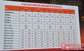 妊娠期饲料与哺乳期饲料在营养成分和比例上有什么具体区别？