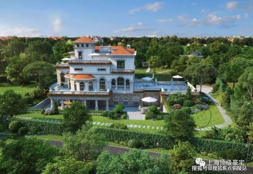 上海别墅附近的特色植被