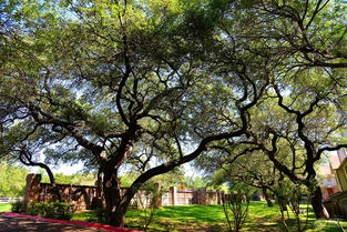 简约，却富有内涵