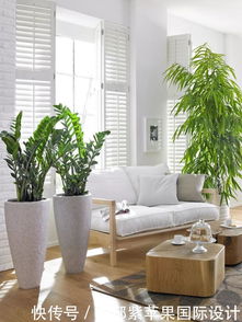 绿萝和常春藤：绿意盎然的墙画