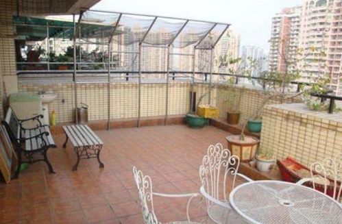 夏天种菜，要选对品种