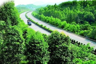 速生植物的进化策略