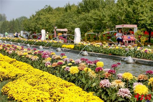 菊花文化节盛大开幕