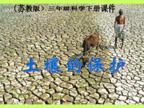 半边黄：天然防水