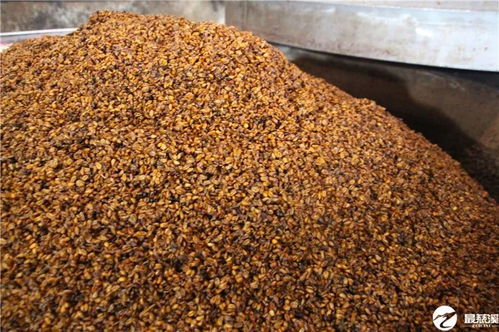 中粮豆粕有几个品牌？黄冈中粮豆粕价格下哪个品牌最受欢迎？