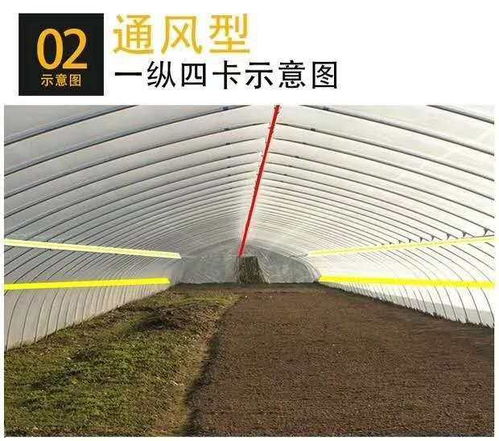 养猪大棚如何搭建，需考虑通风、保温、防潮等因素