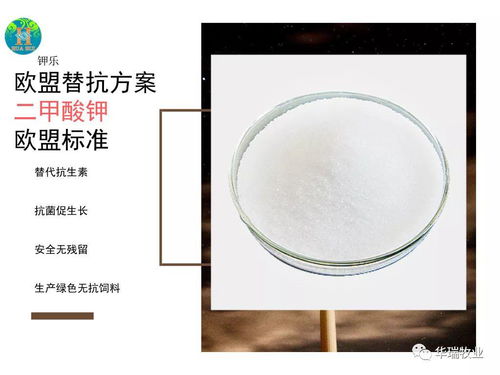 养猪时生石膏有什么具体好处，能直接提高猪的健康和生长效率吗