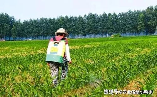 春天和秋天哪个时段更合适？