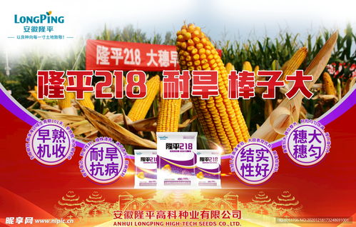 买农资要注意啥