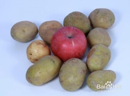 不同类型莲花种子的保存方法