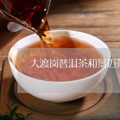 叶福新肉桂茶叶价格表：柴门头茶叶市场最新售价一览