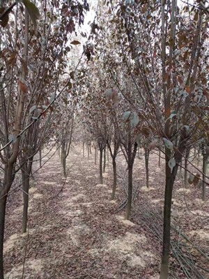 有效治疗方法，你get了吗？