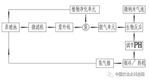 农业循环水系统：高效节水与生态平衡的关键技术