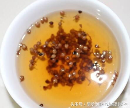 花椒加什么泡水喝效果佳？试试这几种搭配
