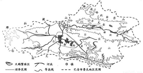 野生当归， 高山之宝的秘密