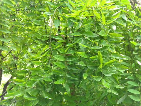 哎呀， 原因可多了去了