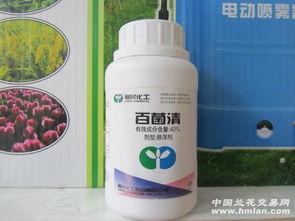 Neng不Neng混用？这问题可大了去了