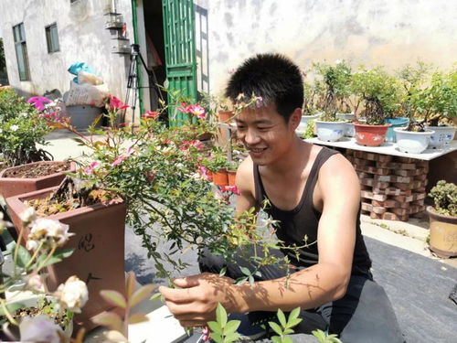 分享经验， 助力行业发展