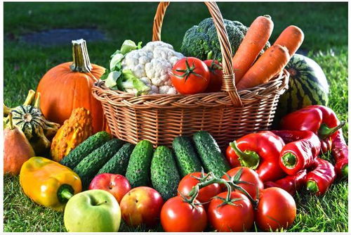 土壤质量的影响