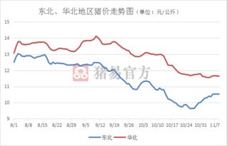 10月中旬猪价下跌，11~12月粮价和猪价走势如何？