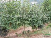 哎呀， 上月我还帮客户验货，发现了个大秘密