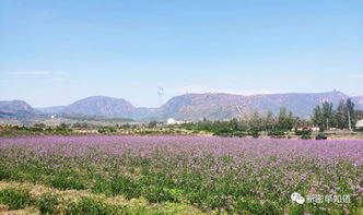 新密农家乐成功案例