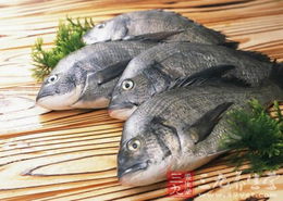 鱼可以长期只吃猪饲料吗？这对它们的健康有影响吗？