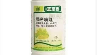 玉米田苗后除草剂的多样选择