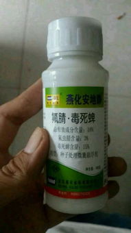 平安高效， 手把手教你