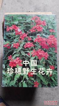 花卉世界，秘密无穷