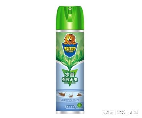 蟑螂，真是个狡猾的家伙