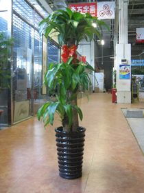 控制与市场分析