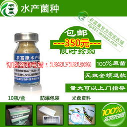 批发价格：量大从优