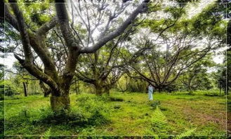 土壤选择有讲究