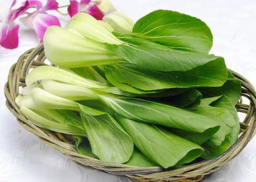 小白菜保鲜运输技巧，花卉保鲜必知！