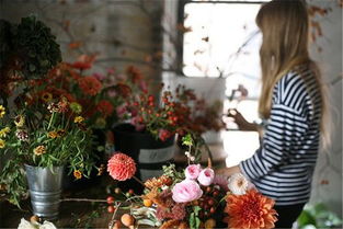 师资之重：师资力量影响学费