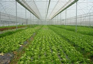 有机认证， 成本高昂