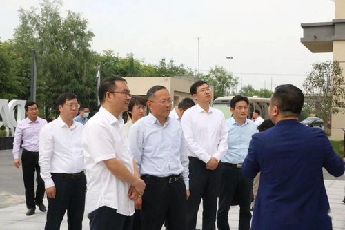 农业养殖难题解析与对策