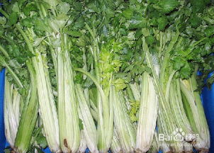 芹菜，还Neng吃吗？