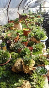 水质选择，那是关键