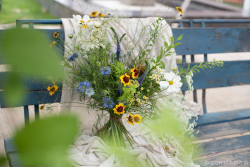 花艺设计：现代生活的色彩注入