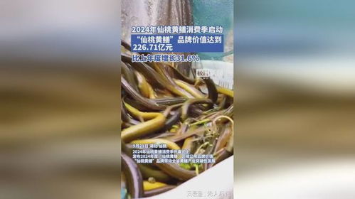 岑溪软枝茶油：王光熙品牌，价格一览