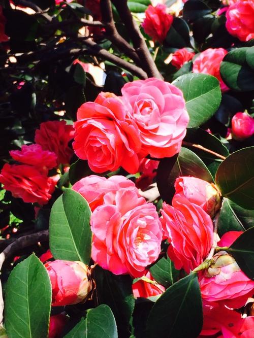 先来个光照大法