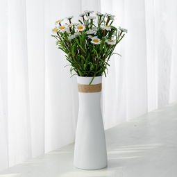 懒人花：蝴蝶洋牡丹、 小雏菊、雪柳枝条