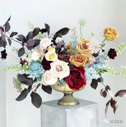 秋季花卉，菊花的盛宴