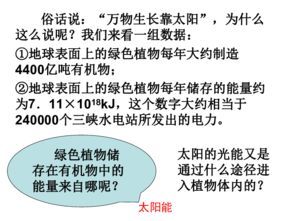育肥猪饲料17个蛋白、40个蛋白和42个蛋白，三者有何具体区别？